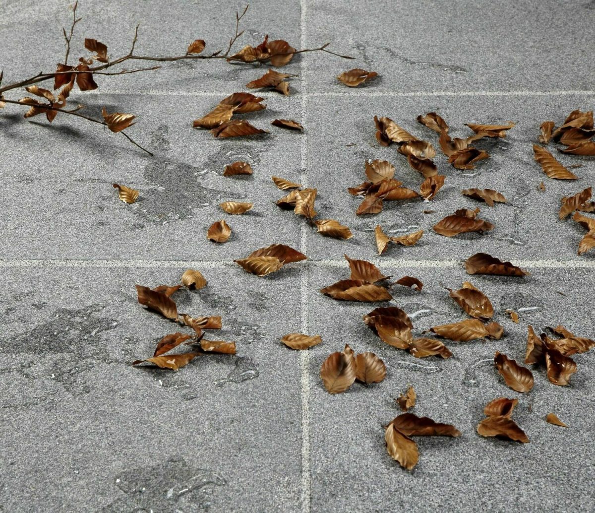 GftK vdw 950 3-in-1 StainProtect - Image 3