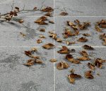 GftK vdw 950 3-in-1 StainProtect - Image 3