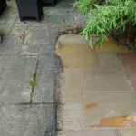 Blackspot and Green Growths Remover - Image 5