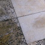 Blackspot and Green Growths Remover - Image 6